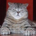 ���� ������, ��������, 52 ���� - ��������� 9 �������� 2012 � ������ �������