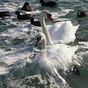 ���� �����, ����� - ��������� 29 ������ 2013 � ������ �������