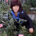 ���� ����, ������, 43 ���� - ��������� 5 ����� 2012 � ������ ���� ����������