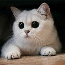 ���� �����, ���, 24 ���� - ��������� 28 ������� 2012 � ������ ���� ����������