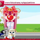  , , 35  -  2  2011   PetLove