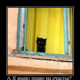 ���� ������, ��������, 45 ��� - ��������� 5 ������� 2011