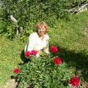 ���� ���������, �����������, 65 ��� - ��������� 2 ������� 2012 � ������ �� ����� �����