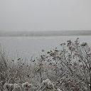 ���� �������, �����, 69 ��� - ��������� 22 ������ 2012 � ������ ���� ����� ���
