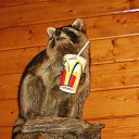 ���� ���, ������� ���� - ��������� 9 ������ 2011 � ������ �� � ��� ������� �����