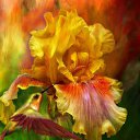 ���� �������, ������ - ��������� 21 ������ 2012 � ������ ���������