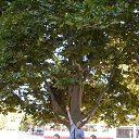 �����������))) �� ������� ���� ����������