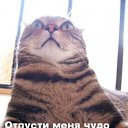 ���� ���� ���������, ������, 39 ��� - ��������� 15 ���� 2012 � ������ �������