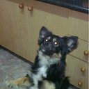 ���� Alex, ������, 53 ���� - ��������� 1 ������ 2012