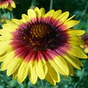  , -, 40  -  16  2011     