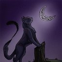 ���� ���������� ������, �����������, 26 ��� - ��������� 17 ������ 2010 � ������ �������