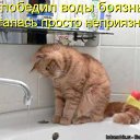 ���� ��, ������������, 39 ��� - ��������� 15 ������� 2011 � ������ ����������