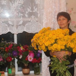 ������ ��������, �������������, 63 ����