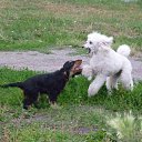 ���� �����, �������, 68 ��� - ��������� 4 ������� 2012 � ������ �������