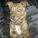 ���� Aleksandr, ���������, 46 ��� - ��������� 4 ������ 2010 � ������ ������ ������