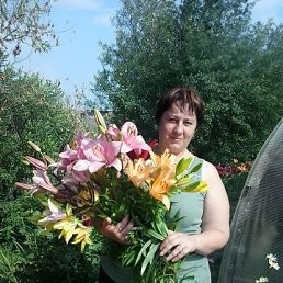 ���� ����, ����, 45 ��� - ��������� 4 ������� 2013