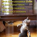���� ��������, �������� - ��������� 23 ����� 2012 � ������ �������� ��������