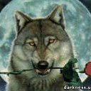  Paata, , 52  -  27  2013    