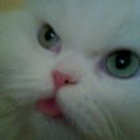 ���� Joy, ����� - ��������� 28 ���� 2010