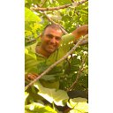 ���� ���� ������, ���������, 51 ��� - ��������� 26 ���� 2013