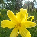 ���� �����, ����������, 62 ���� - ��������� 3 ���� 2013