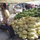  , , 72  -  8  2013   ,   