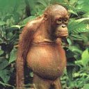 ���� �������, ��������, 38 ��� - ��������� 19 ������ 2011 � ������ �������