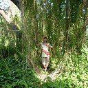 ���� �������, ������, 44 ���� - ��������� 8 �������� 2012 � ������ ���� ����������