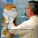 ���� �����, ��������, 40 ��� - ��������� 23 ������� 2010 � ������ �������������