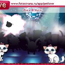  , , 48  -  19  2011   PetLove