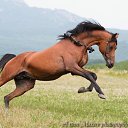 ���� ������, ������, 65 ��� - ��������� 3 ���� 2011 � ������ �����-����