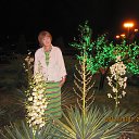  , , 65  -  14  2012      ߻