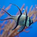 ���� ����� - ���������� ��������!!!, �����������, 56 ��� - ��������� 12 ������ 2010 � ������ ������