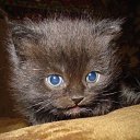 ���� Ksnzo, �����, 52 ���� - ��������� 19 ������� 2009 � ������ ������� ������