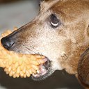 ���� �����, ������, 60 ��� - ��������� 15 ������� 2010 � ������ ��������