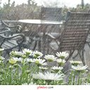 ���� ������ ~������~ ������ � �����, �������, 45 ��� - ��������� 10 ���� 2010 � ������ ���������