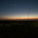 ���� ������, �������, 37 ��� - ��������� 22 ��� 2012 � ������ ���� ����������