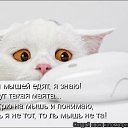���� ����, �����, 50 ��� - ��������� 2 ��� 2010 � ������ ������������
