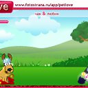 ���� ���������, ����, 72 ���� - ��������� 22 ������� 2010 � ������ �PetLove�