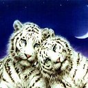 ���� ������, ���������, 42 ���� - ��������� 15 �������� 2012