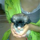 ���� �����, ��������, 51 ��� - ��������� 10 ���� 2012 � ������ ������