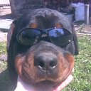 ���� �����a, �����-���������, 45 ��� - ��������� 7 ��� 2010 � ������ �������