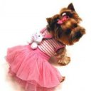 ���� ����������, �����, 32 ���� - ��������� 19 ������� 2011 � ������ �������