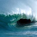 ���� ����, �����������, 35 ��� - ��������� 11 ������� 2011 � ������ �������