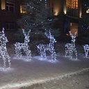 ���� ���������, ���������, 78 ��� - ��������� 13 ������� 2012 � ������ ���� �����