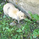 ���� ������, �������, 42 ���� - ��������� 9 ������� 2012 � ������ �������