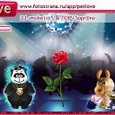 ���� �������, ������� - ��������� 26 ����� 2011 � ������ �PetLove�