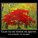 ���� �������� �������, �����������, 73 ���� - ��������� 19 ������� 2011 � ������ ���� ����������