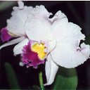 ���� ����. ��������� �� ��!, ������, 72 ���� - ��������� 13 ������ 2011 � ������ ��������