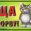 ���� ��������, �����-���������, 58 ��� - ��������� 1 ��� 2010 � ������ �������